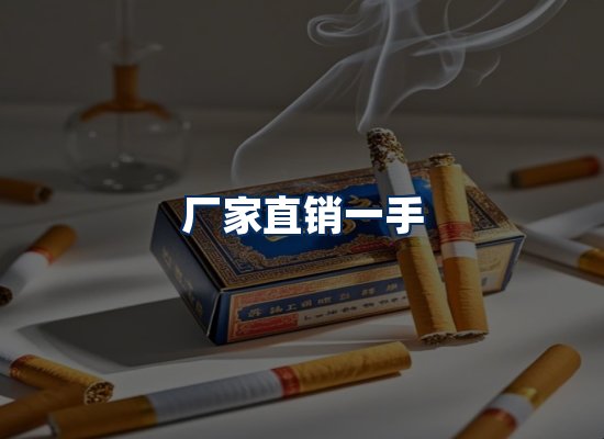 专业团队办公环境